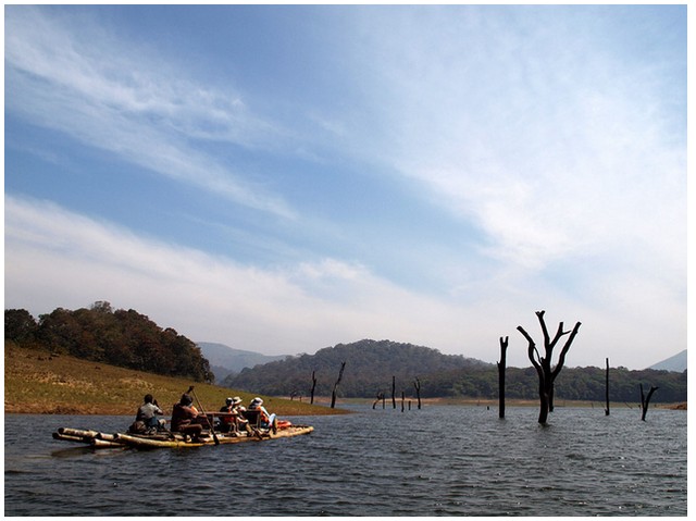 best-things-to-do-in-thekkady-5 Best Things to do in Thekkady