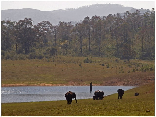 best-things-to-do-in-thekkady Best Things to do in Thekkady