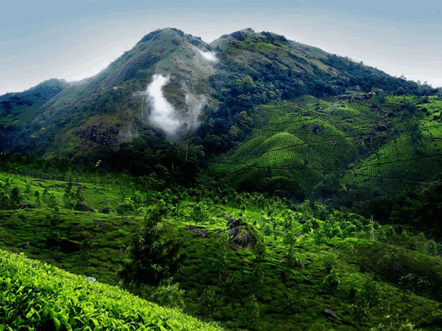 top-16-best-places-to-visit-in-munnar-in-2019-with-photos Top 16 Best Places to Visit in Munnar in 2019 (With Photos)