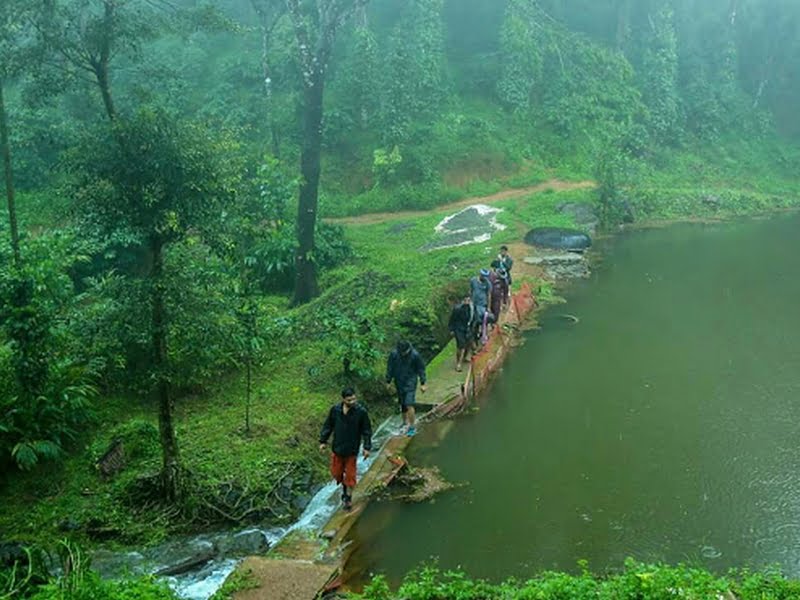 top-10-best-trekking-places-in-kerala Top 10 Best Trekking Places in Kerala