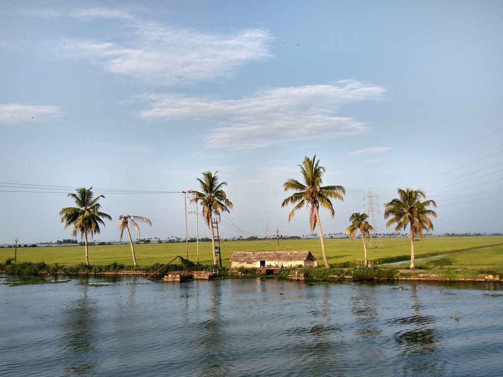 your-pocket-guide-to-the-best-backwaters-in-alleppey-2 Your Pocket Guide To The Best Backwaters In Alleppey
